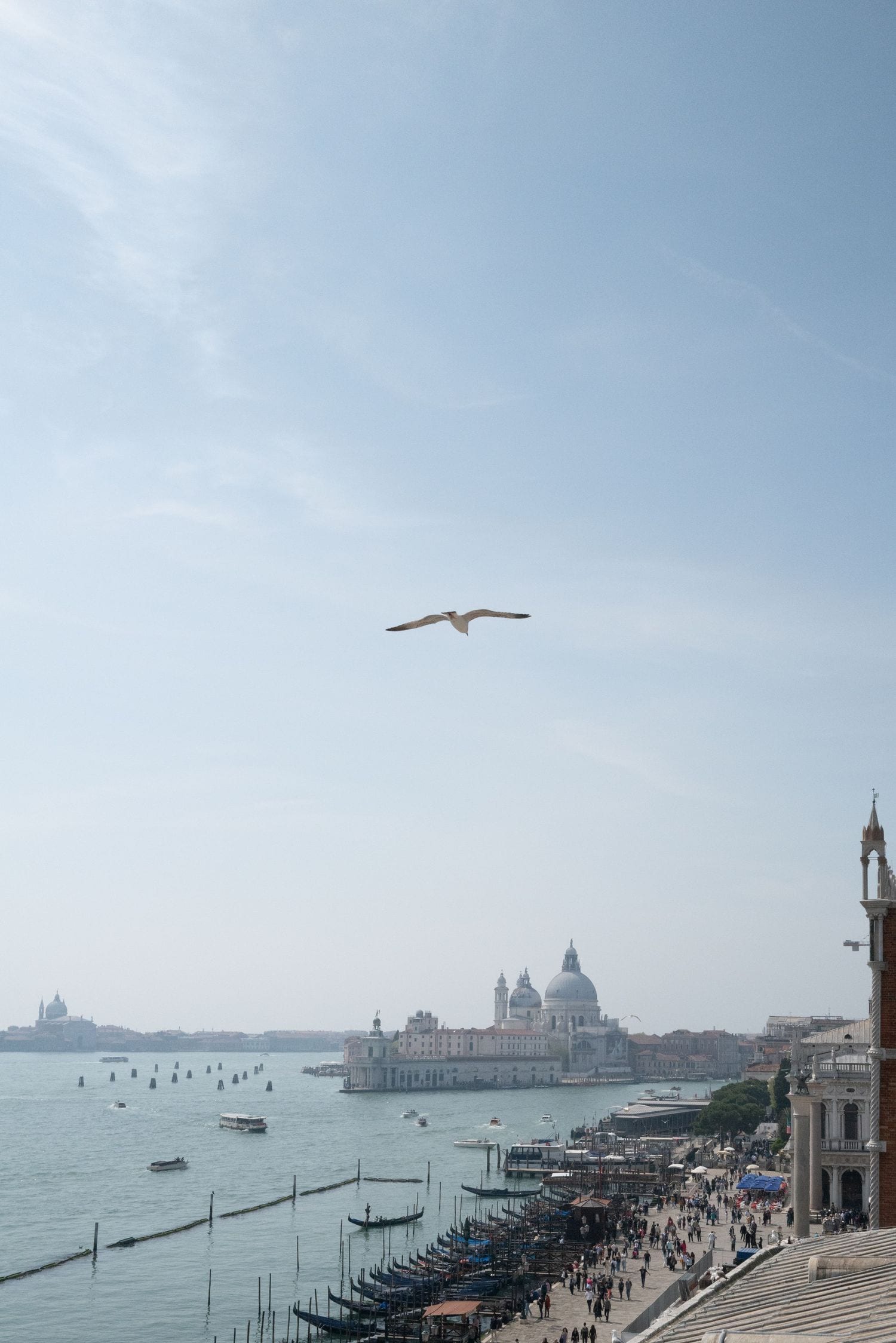 Vista sulla laguna di Venezia dall'Hotel Danieli