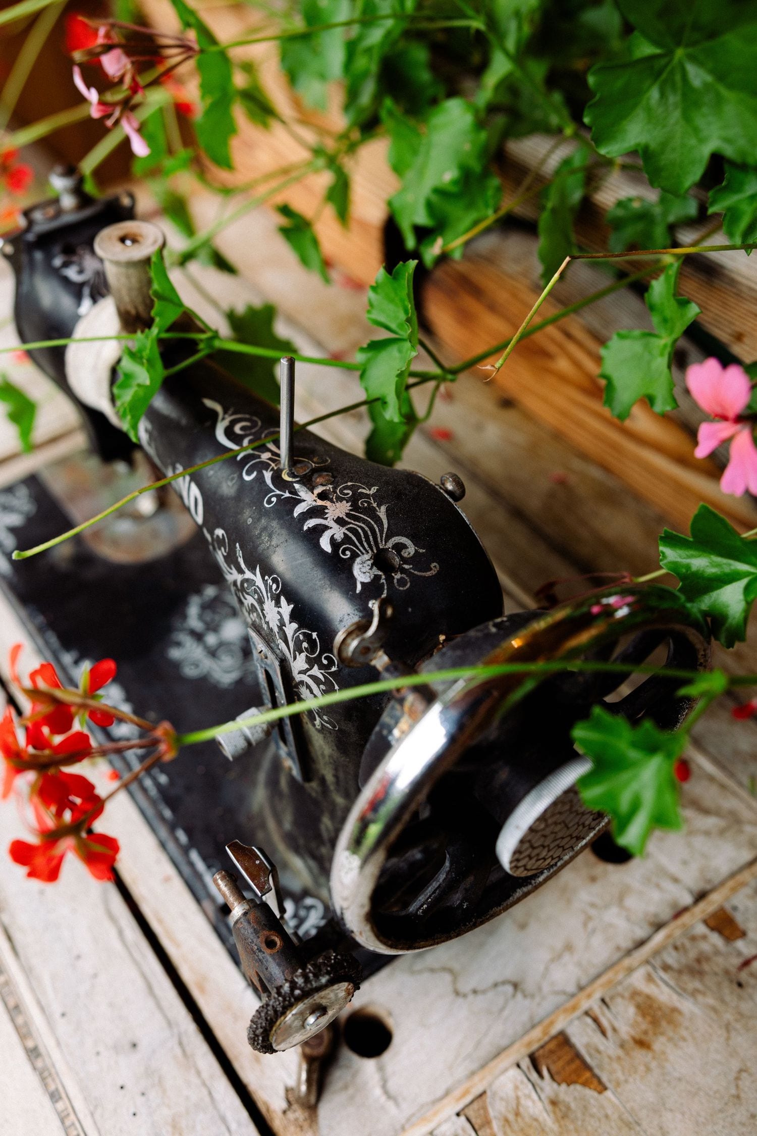 Vintage black sewing machine decorated with floral motifs surrounded by green plants and red flowers.