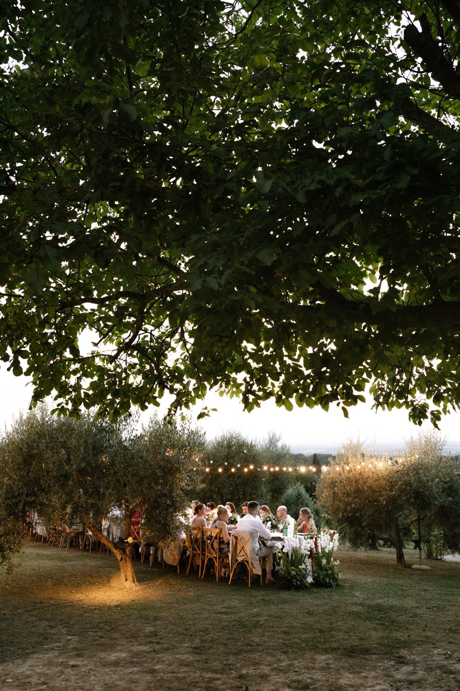 Matrimonio in Toscana tra ulivi, luce estiva e cena all’aperto